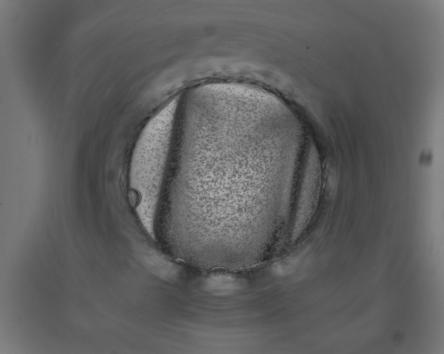 X0000092291489200709281255