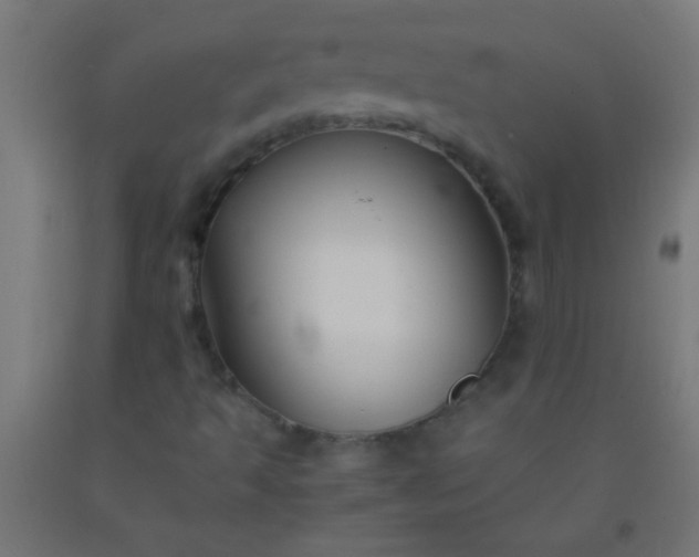 X0000092291493200709281255