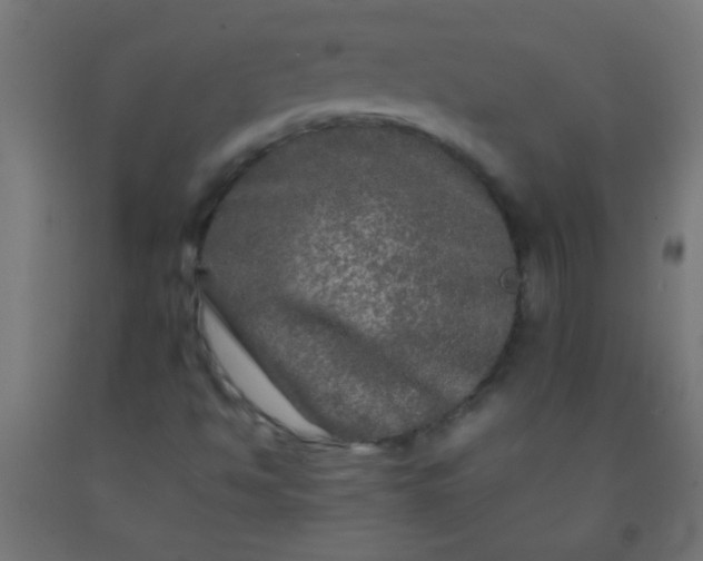 X0000092291494200709281255