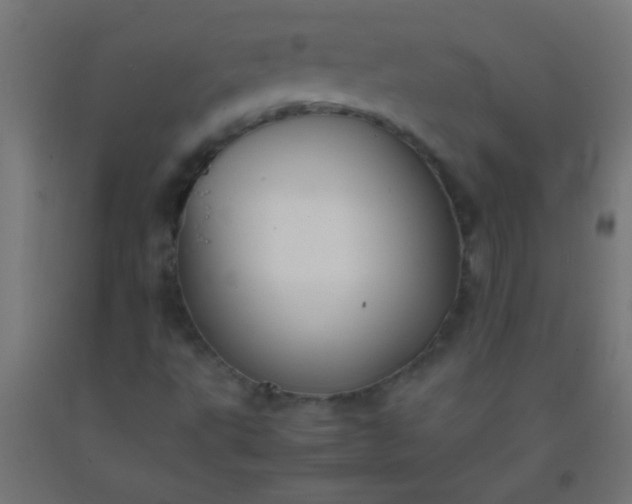 X0000092291495200709281255