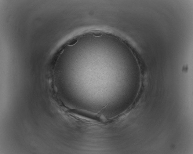 X0000092291496200709281255