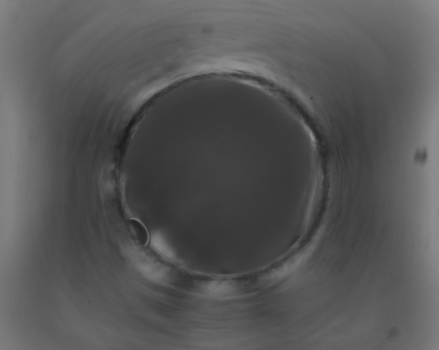 X0000092291497200709281255