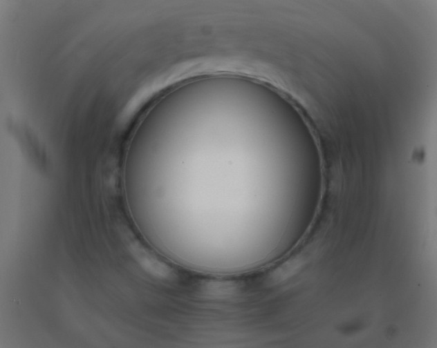 X0000092291499200709281255