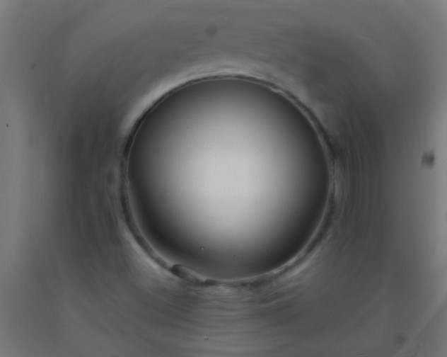 X0000092291500200709281255