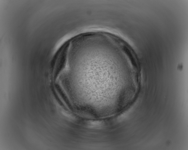 X0000092291501200709281255