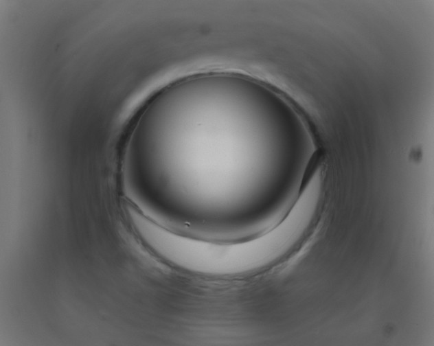 X0000092291502200709281255