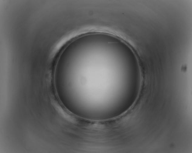 X0000092291503200709281255