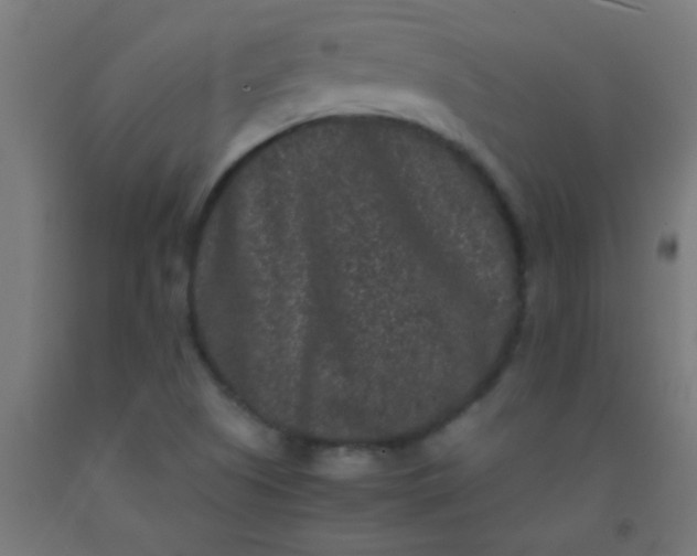 X0000092291505200709281255