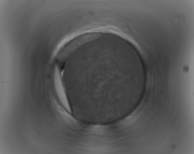 X0000092291506200709281255