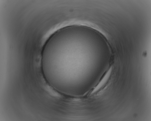 X0000092291507200709281255