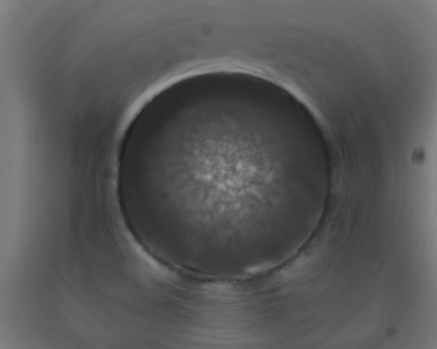 X0000092291508200709281255