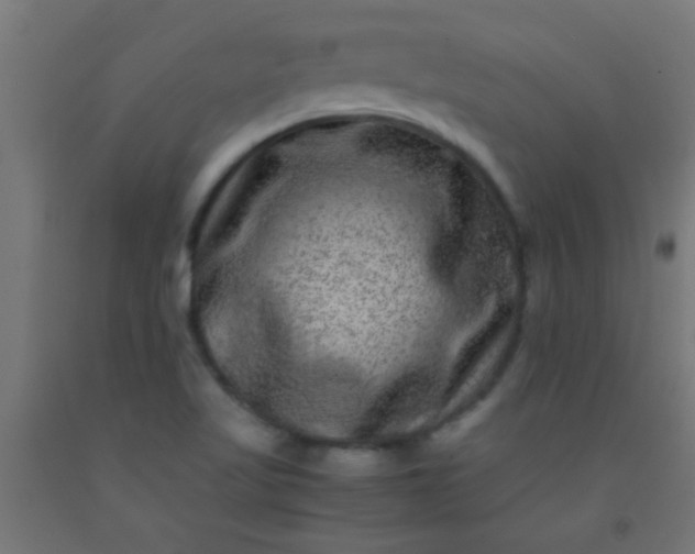 X0000092291509200709281255