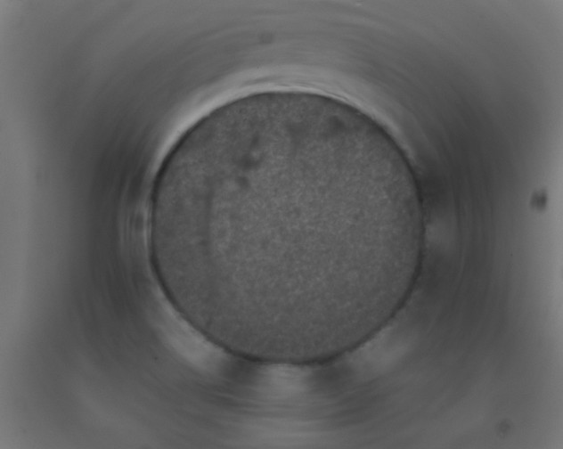 X0000092291514200709281256