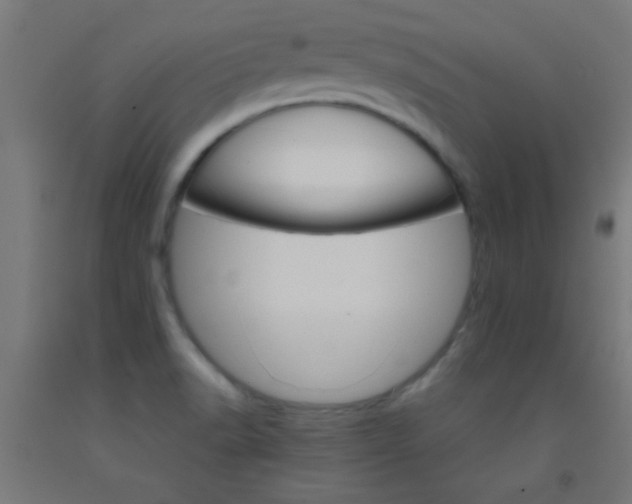 X0000092291518200709281256