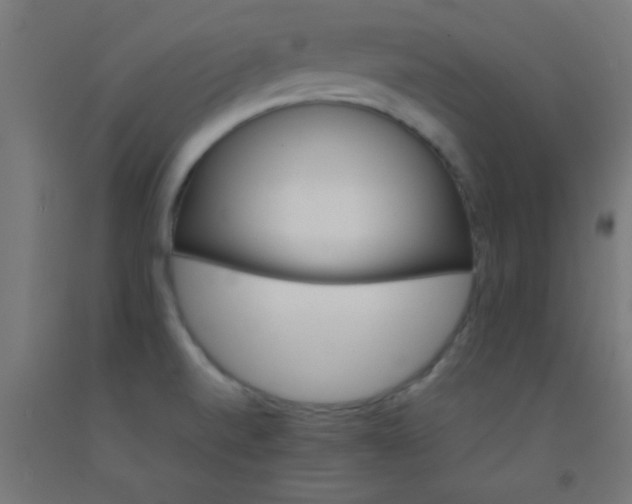 X0000092291520200709281256