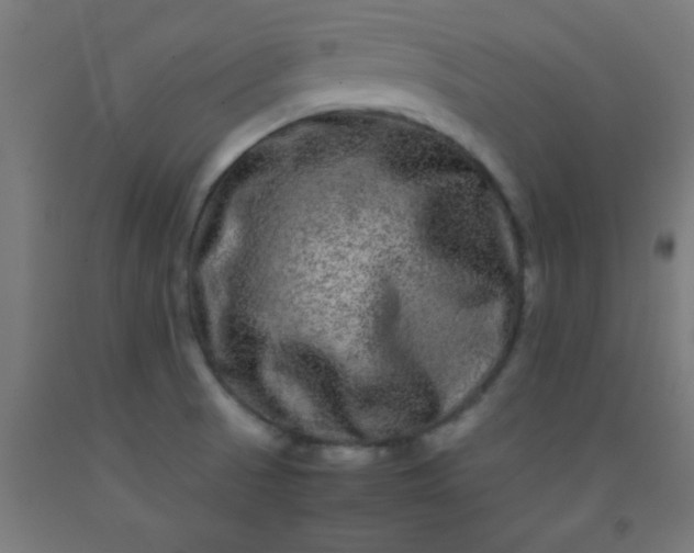 X0000092291521200709281256