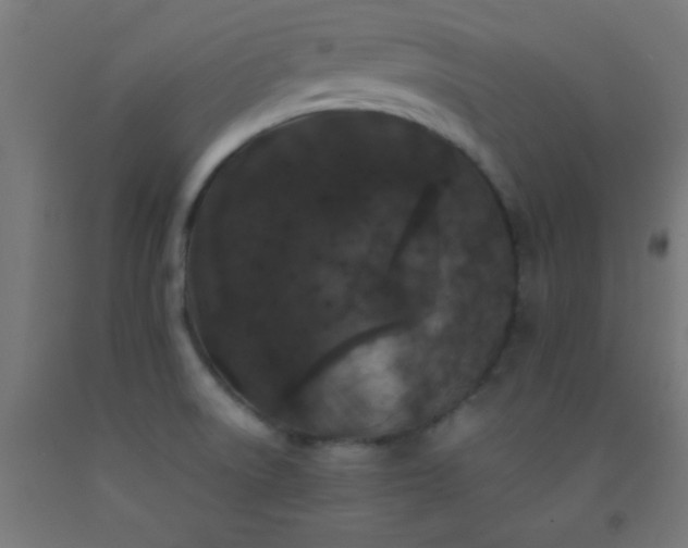 X0000092291522200709281256