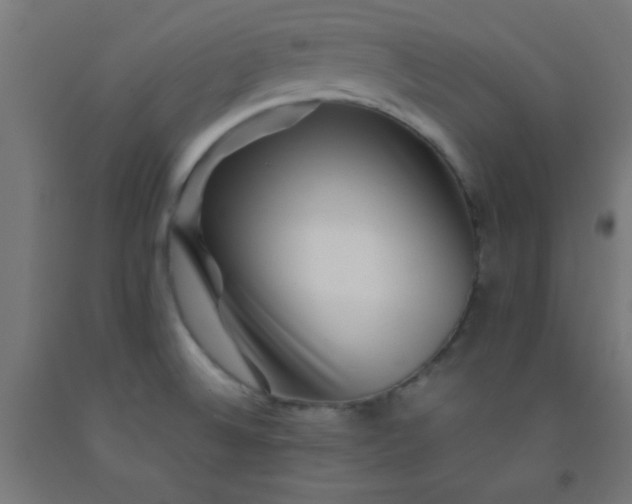 X0000092291524200709281256