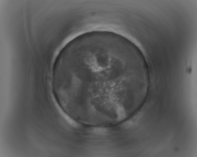 X0000092291525200709281256