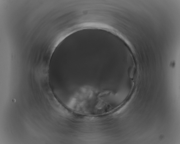 X0000092291529200709281256