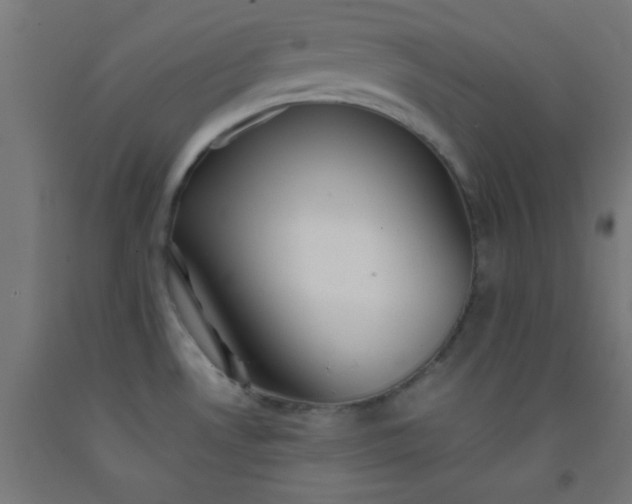 X0000092291530200709281256