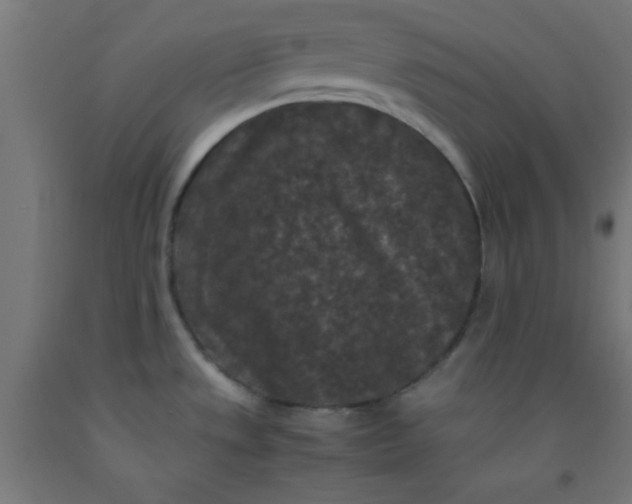 X0000092291533200709281256