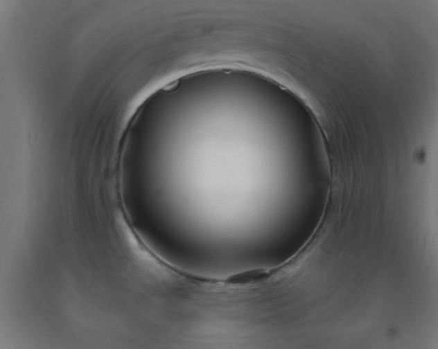 X0000092291534200709281256