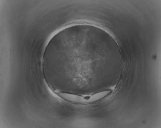 X0000092291535200709281256