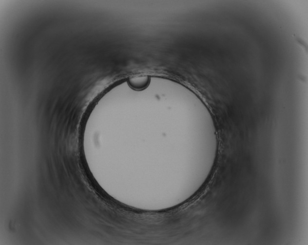 X0000092290008200710041437