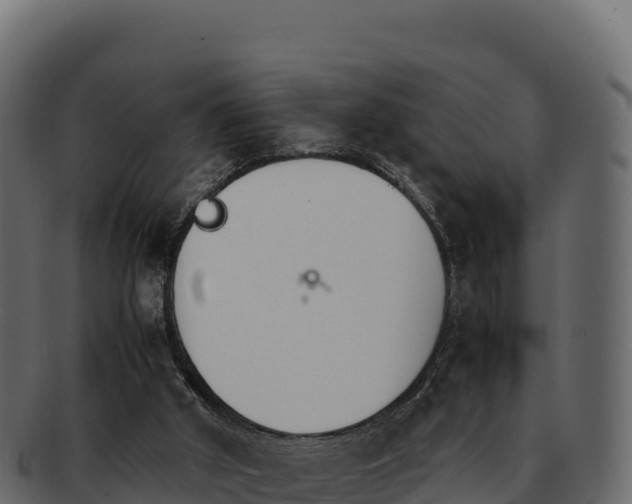 X0000092290010200710041437