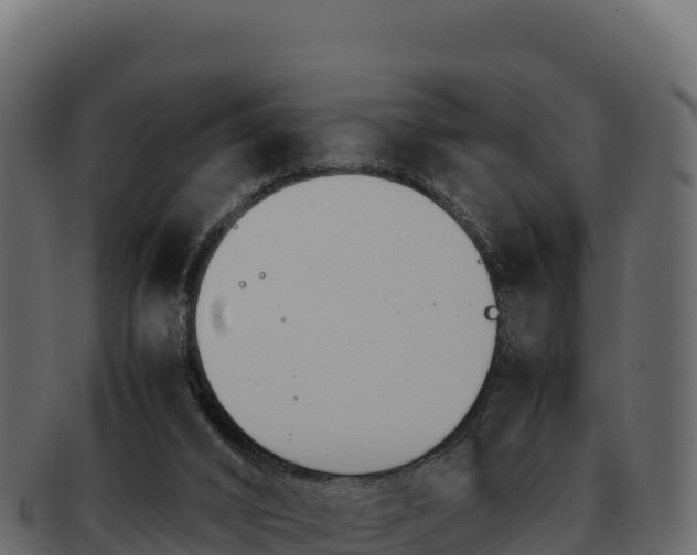 X0000092290016200710041437