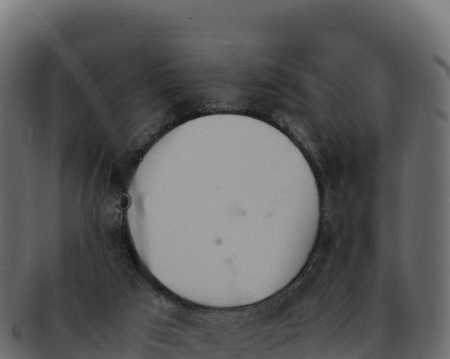 X0000092290017200710041437