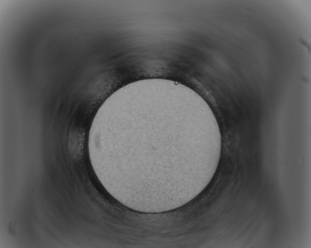 X0000092290018200710041437