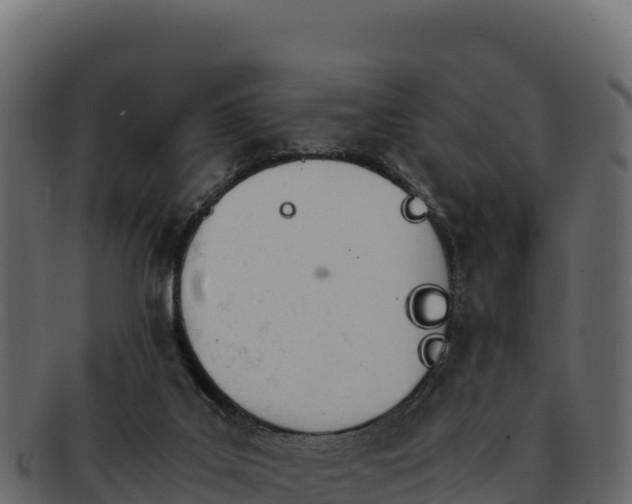 X0000092290019200710041437