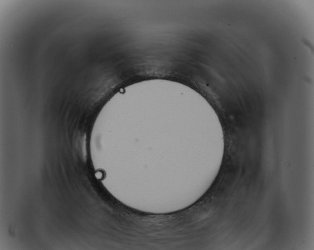 X0000092290020200710041437