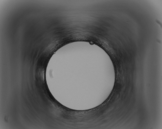 X0000092290021200710041437