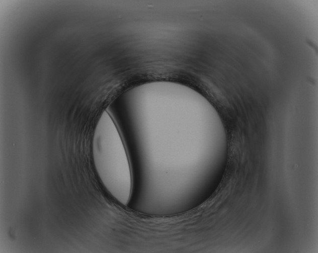 X0000092290025200710041437