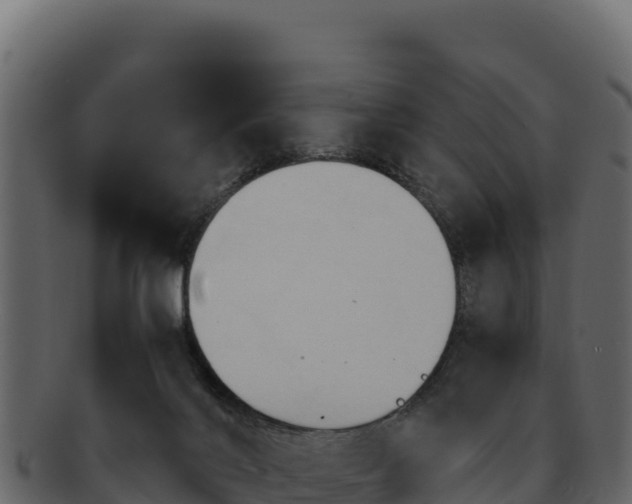 X0000092290028200710041437