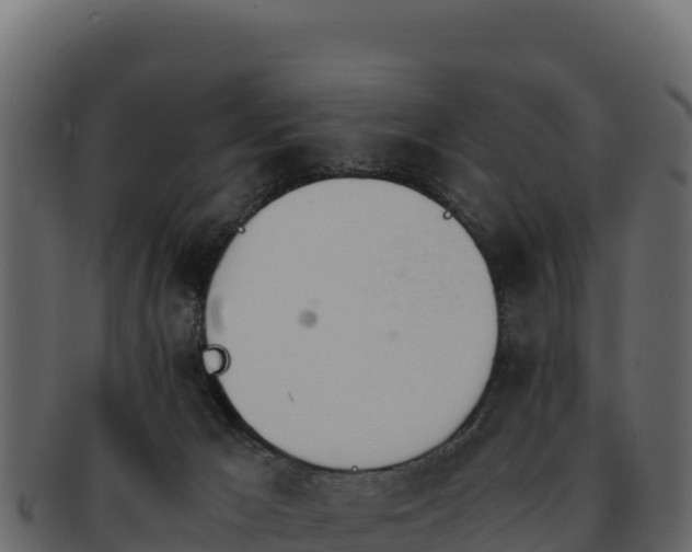 X0000092290029200710041437