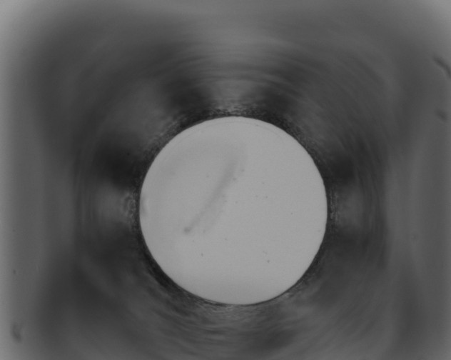 X0000092290036200710041437