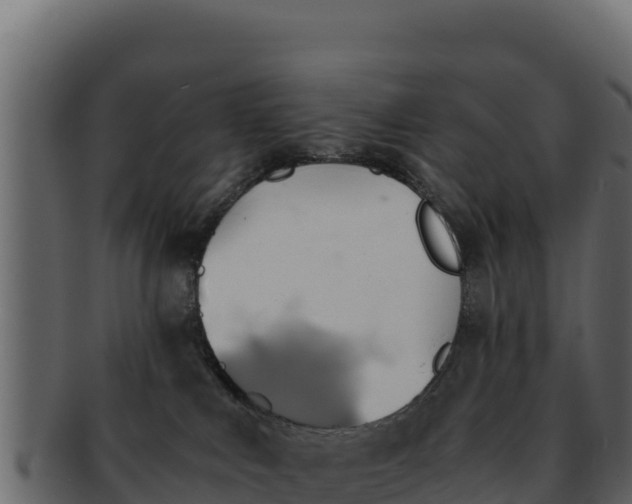 X0000092290043200710041437