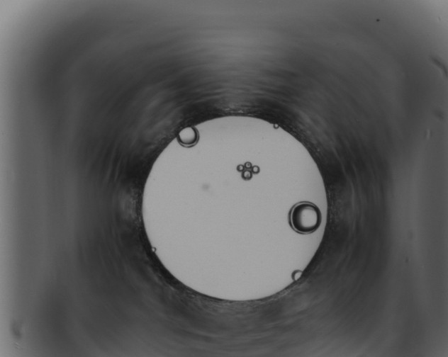 X0000092290044200710041437