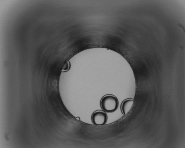 X0000092290045200710041437