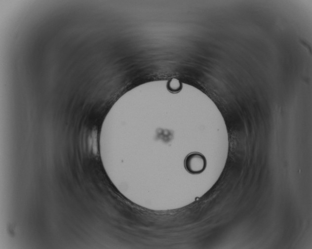 X0000092290046200710041437