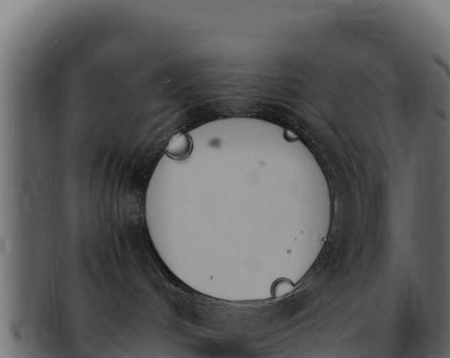 X0000092290048200710041437