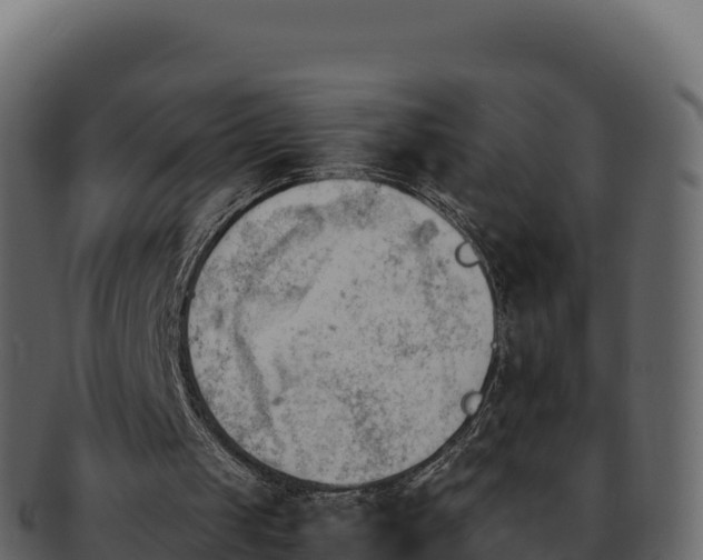 X0000092290049200710041436