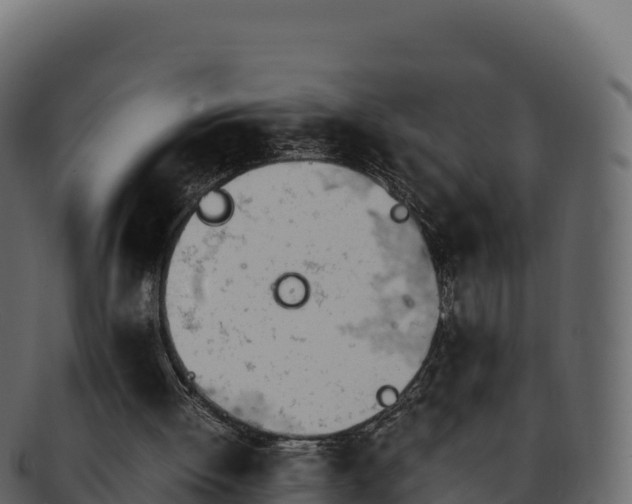 X0000092290052200710041436