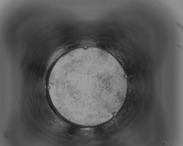 X0000092290053200710041436