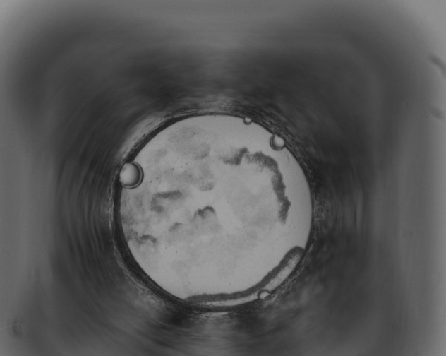 X0000092290054200710041436