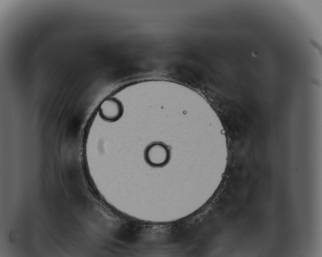 X0000092290056200710041436